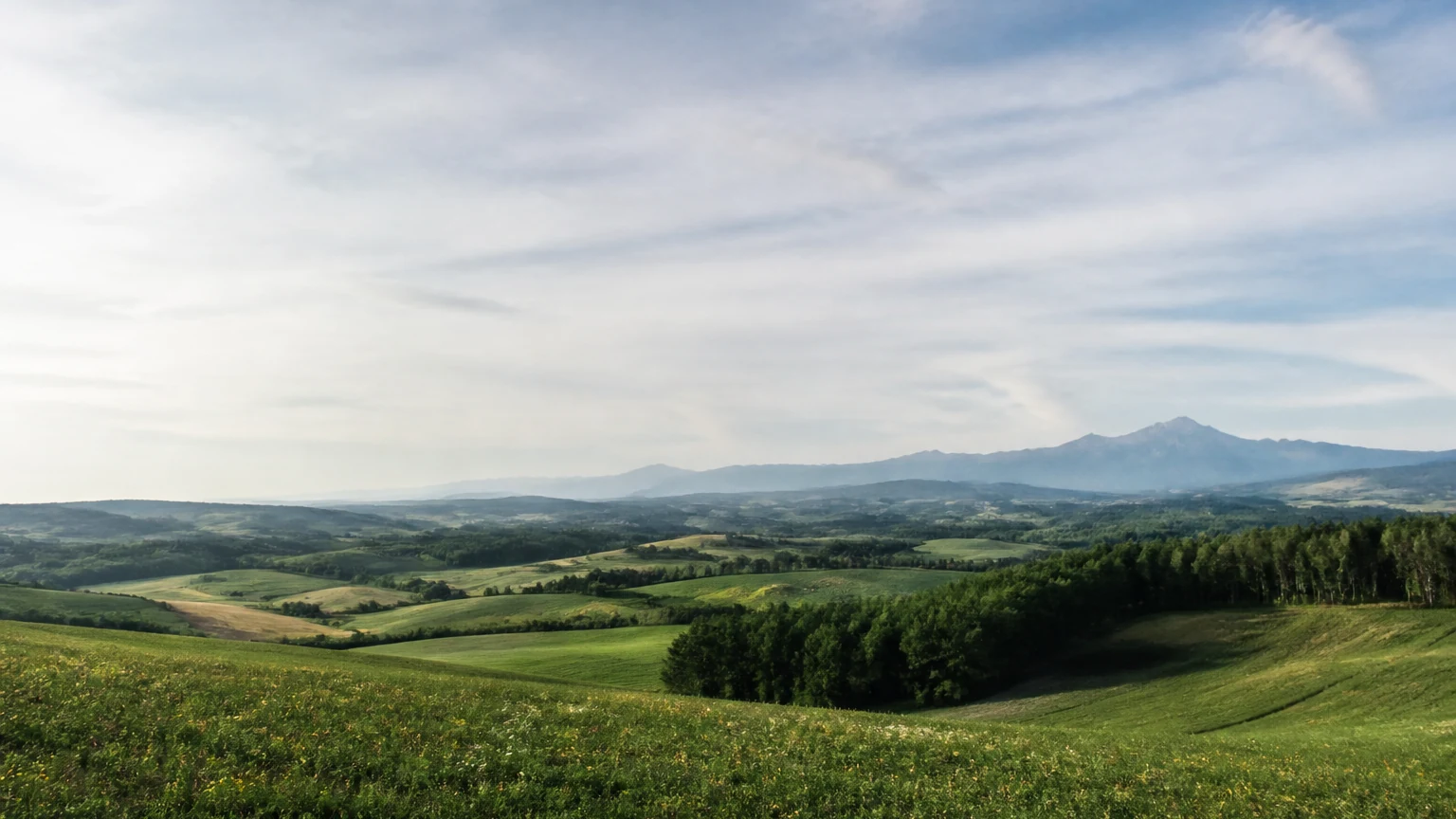 広い農地と森林の向こうに山並みが広がる北海道の風景